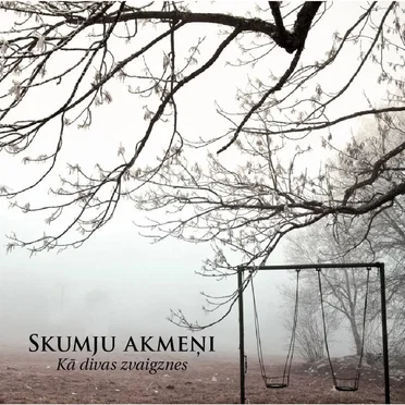 Skumju akmeņi