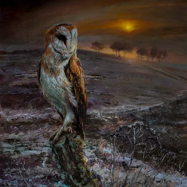 An Appointed Time by A Flock Named Murder - album cover