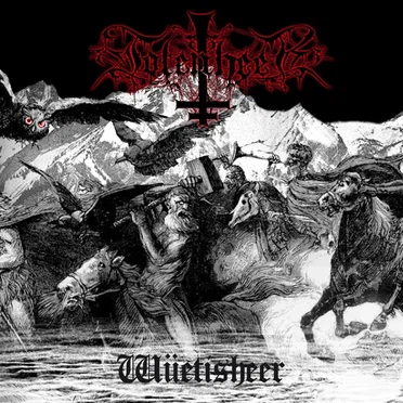 Wüetisheer by Totenheer - album cover