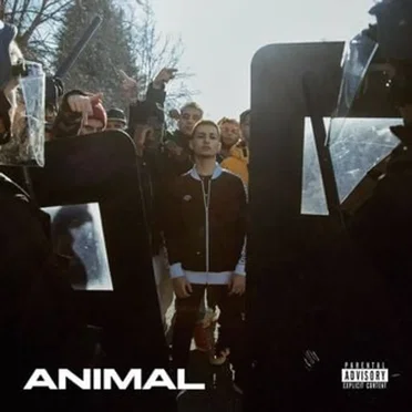 Animal