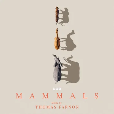 Mammals (Original Television Soundtrack) by Thomas Farnon - album cover