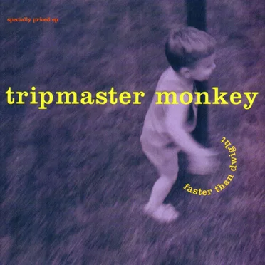 Faster Than Dwight by Tripmaster Monkey - album cover