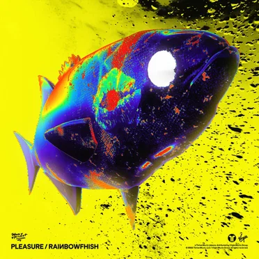 PLEASURE / RAINBOWFHISH