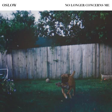 No Longer Concerns Me 7" by Oslow - album cover