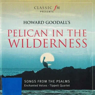 Pelican In The Wilderness