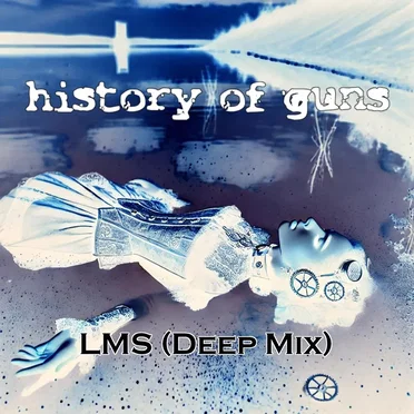 LMS (Deep mix) by History Of Guns - album cover