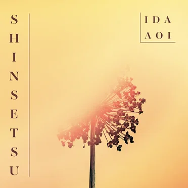 Shinsetsu by Ida Aoi - album cover