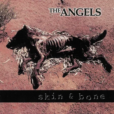 Skin & Bone