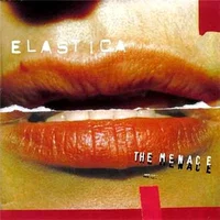 Elastica artist image