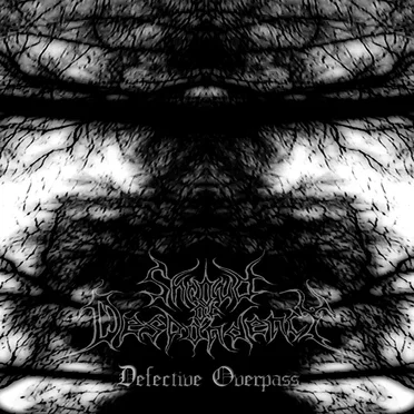 Defective Overpass by Shroud of Despondency - album cover