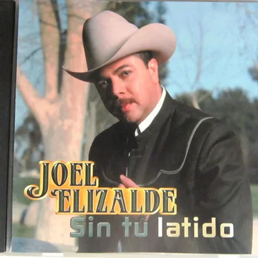 Sin tu latido
