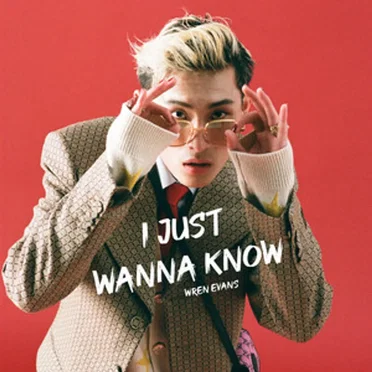 I Just Wanna Know