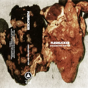 Disquieting Matter by FLESHLICKER - album cover