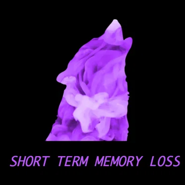 Short Term Memory Loss by short term memory loss - album cover
