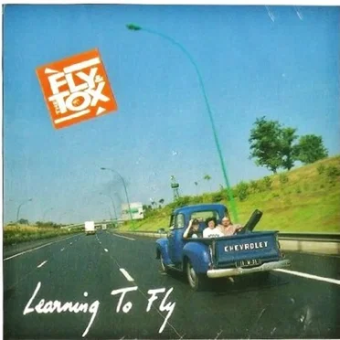Learning To Fly by Fly & the Tox - album cover