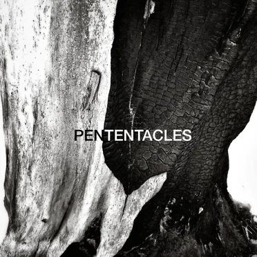 A Supposedly Quiet Night by Pententacles - album cover