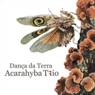 Dança da Terra by Acarahyba Trio - album cover