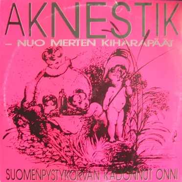 Suomenpystykorvan kadonnut onni