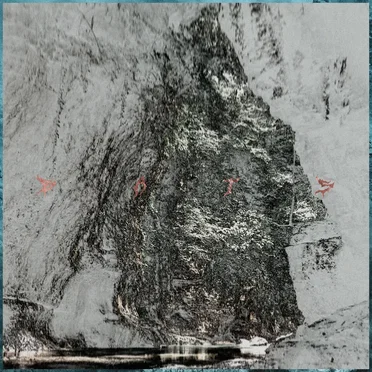 Bats