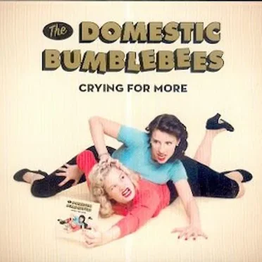 Crying for More by The Domestic Bumblebees - album cover