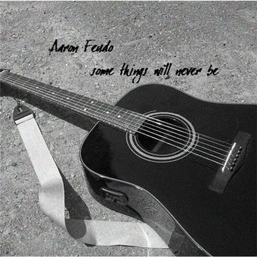 Some Things Will Never Be by Aaron Feudo - album cover