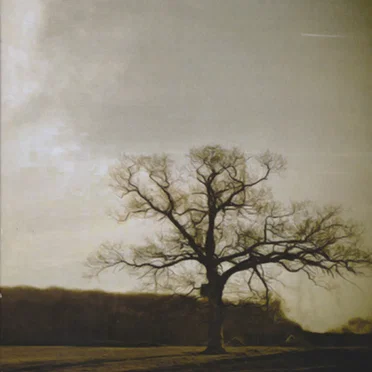 The Silence Was Warm, Volume 2 by Various Artists - album cover