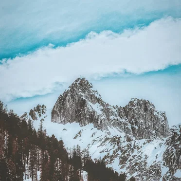 Altitude by Wandering Artist - album cover