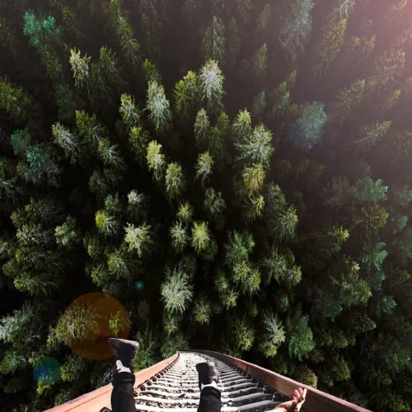 A Trip Through Twilight
