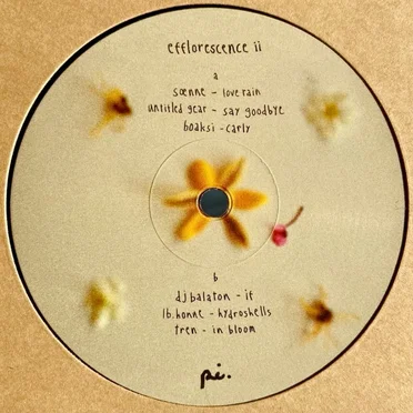 efflorescence ii by Various Artists - album cover
