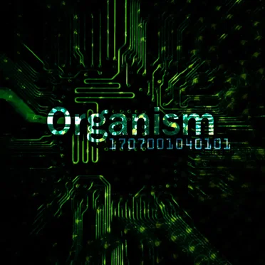 170700104010 by Organism - album cover