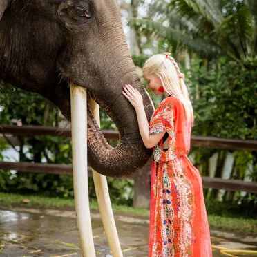 Reclaim Your Intrinsic Nature Before It Claims You