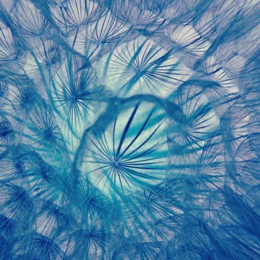 Cercanías by Laila Farinola - album cover