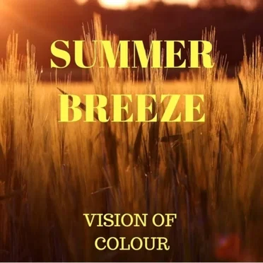 Summer Breeze by Vision Of Colour (V.O.C.) - album cover