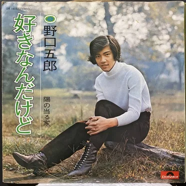 好きなんだけど