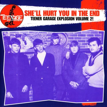 Teenage Shutdown! She'll Hurt You in the End by Various Artists - album cover