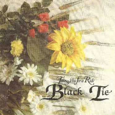 Take You For A Ride