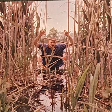 All Flesh Is Grass