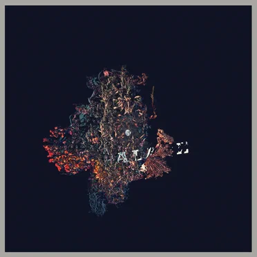 Palace by B/B/S/ - album cover
