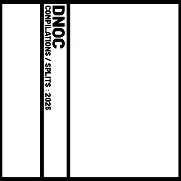 Compilations / Splits 2025