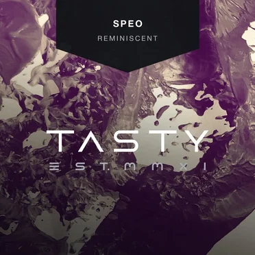 Reminiscent by Speo - album cover