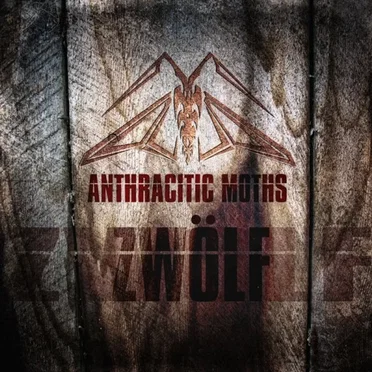 Zwoelf by Anthracitic Moths - album cover