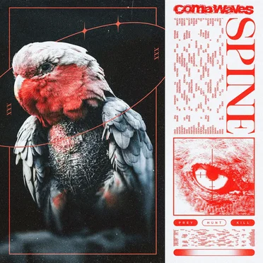 Coma Waves