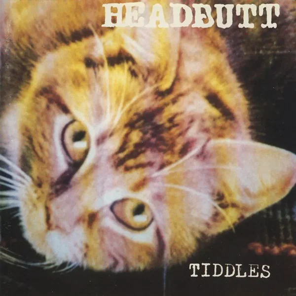 Tiddles