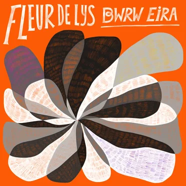 Bwrw Eira by Fleur De Lys - album cover