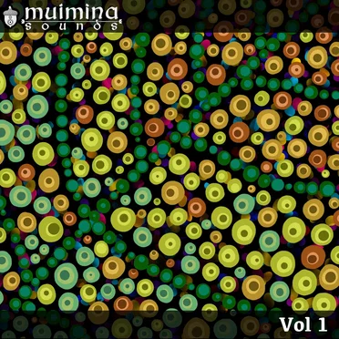 Muimina Sounds, Vol. 1 by Various Artists - album cover