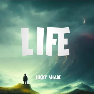 Life 2014 by Lucky Shade - album cover