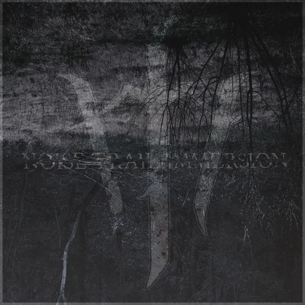 Noise Trail Immersion