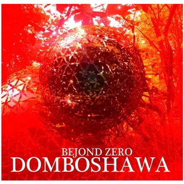 Bejond Zero