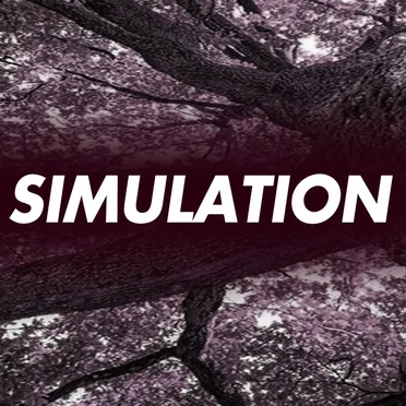 Simulation