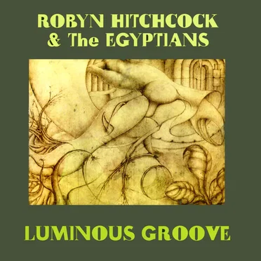 Luminous Groove by Robyn Hitchcock and the Egyptians - album cover